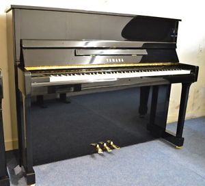 Yamaha SU118c in black high gloss