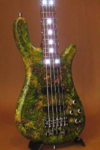 Warwick Custom Shop Streamer Lx 5st "Birdeye Poplar Top ""Front&side White Led"