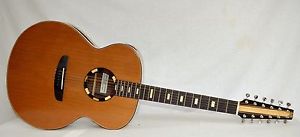 12 Seiten Akusik-Elektrik Gitarre