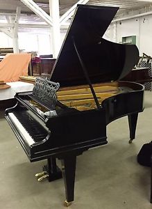 C. Bechstein Flügel Modell V/ B 203 cm lang, generalüberholt
