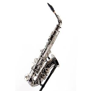 Keilwerth SX90R Shadow Model Professional Alto Saxophone Shadow Finish 888365352282