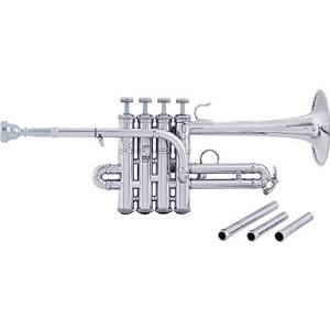 Bach AP190 Stradivarius Artisan Series Bb/A Piccolo Trumpet AP190S Silver (AP190S Silver)