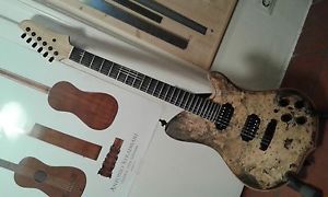 Custom electric Guitar