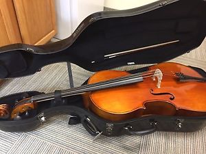 Alfred Nebel Eastman Strings VC601 (Potenza VC61 - Private Label) NEW with CASE!