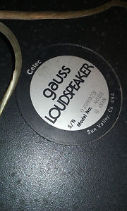 Gauss 4081 Horn & Compression Drivers - Pair with Flairs