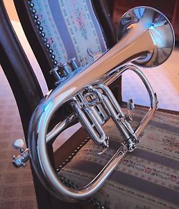 Yamaha 6310Z Silver-plated Bobby Shew Flugelhorn Case and Bobby Shew Mouthpiece