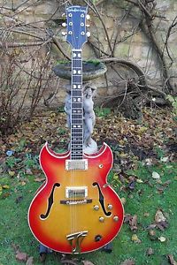Vintage 1960s Barny Kessel Shaftesbury  Guitar and case Rose Morris ,refurbished