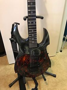 Mike Learn Custom Guitar