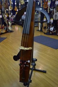 ALTER EGO Acoustic Line Ballade Electric Free Shipping