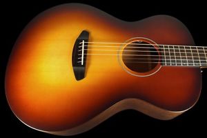 2016 BREEDLOVE USA CONCERT MOONLIGHT E  w LR BAGGS BRAND NEW UNPLAYED w WARRANTY