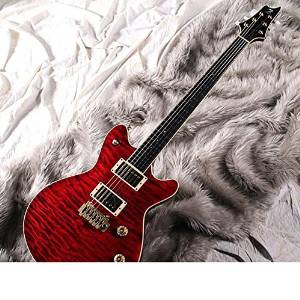 Free Shipping T's Guitars Arc Standard 24f Quilt Hand Selected (Trans Red) W/buzz Feiten Tuning System