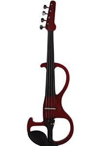 Unique Looking Electric Violin