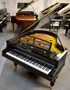 Feurich German Made Grand Piano in black polish