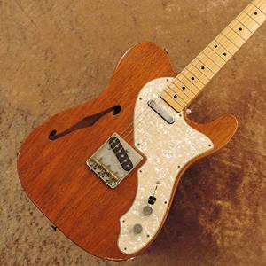 Free Shipping Riggio Custom Guitars Tango Aging #1406 Thinline 2010s
