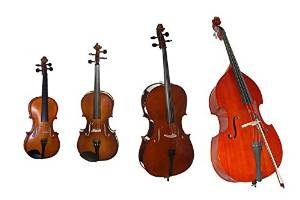 String Quartet