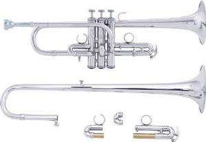 Bach AE190 Stradivarius Artisan Series D/Eb Trumpet in Silver