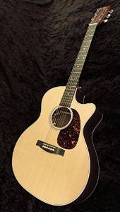 Free Shipping Martin Gpcpa4 Rosewood Guitar