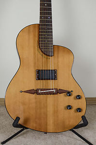 Turner Renaissance Custom 6 String Acoustic/Electric Dual Pickup System