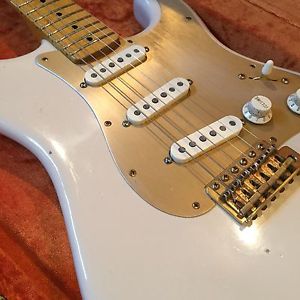 Custom Built Relic Stratocaster