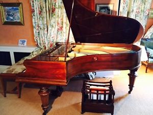 C. BECHSTEIN Model Va