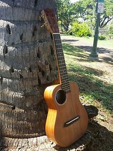 Sinker Redwood/hawaiian Curly Koa Custom slot head  Concert Ukulele Kasha