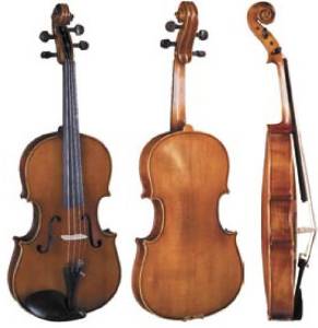 Maple Viola