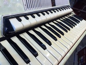 ACCORDION  41-Treble 120-Bass Mother of Pearl Accordion Concertina w/ Case