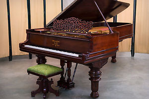 1884 Steinway Model D Concert Grand Piano | Rare Brazilian Rosewood - Restored