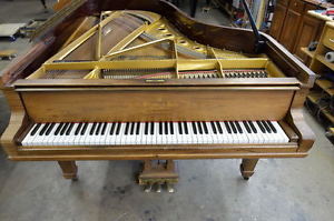 Steinway & Sons Flügel Modell B 211cm