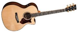 Martin Performing Artist Series GPCPA1 Plus