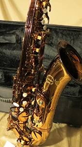 Chateau Tenor Saxophone Student Model VTS-500D Dark Lacquer Body