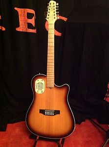 Godin 12 Strings Gitarre l.R Bagg Model