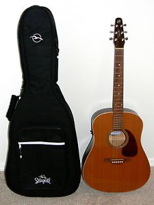 Seagull Coastline S6 GT Q1 Acoustic/Electric Guitar W/Matching Bag