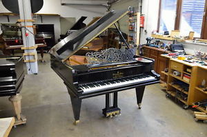 Steinway & Sons Flügel Modell A 188cm