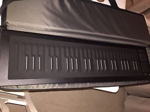 Roli Seaboard Rise 49 - Mint Condition