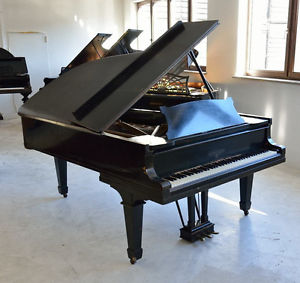 Steinway & Sons Flügel Modell B 211cm