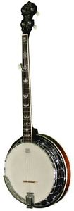 Morgan Monroe MFB-5DXC Banjo, Chrome