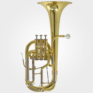 Schiller Edinburg Elite Alto Horn Gold