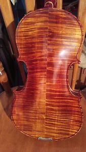 beautiful five string violin.