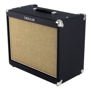 Tech21 Tech 21 PW-60/112 60W, 1x12 powered cabinet with Celestion speaker
