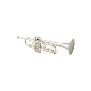 Schilke S22-HD Custom Series Bb Trumpet S22-HD Silver (S22-HD Silver)