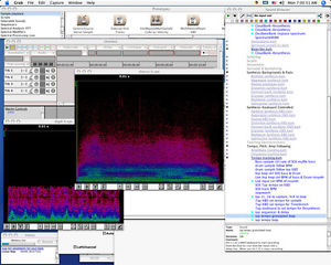 Kyma Capybara 320 system (used on Mac)