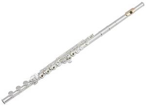 Pearl Vigore 795RBEVGR 795 Elegante Vigore Open Hole B Foot Split E Flute, C