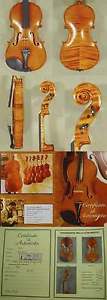 Flamed STRAD Pattern 15.5" Maestro GLIGA VASILE VIOLA from ViolinsLover