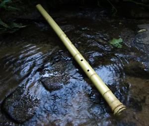 Shakuhachi JON KYPROS Bass 3.3 Eb Japanese Bamboo Flute - Root end