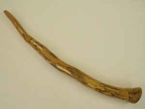 stunning spalted beech 1 didgeridoo
