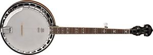 Washburn  B16K Banjo (5 String)