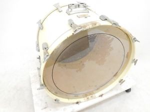 Pearl Bass Drums ZENITHAL RESONATOR 24″ K2162587