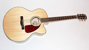 Fender Cj290sce 
