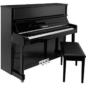Suzuki Acoustic